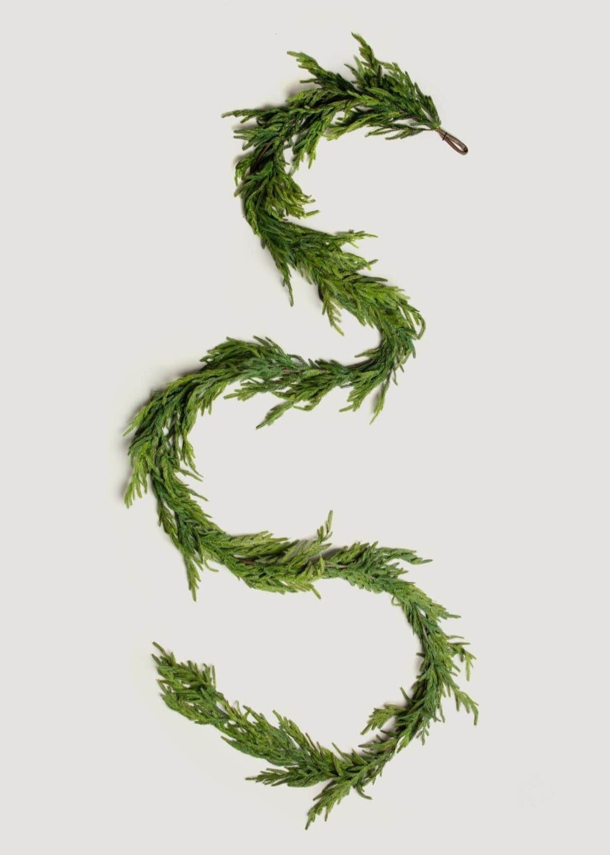 Evergreen Luxe Norfolk Pine Garland
