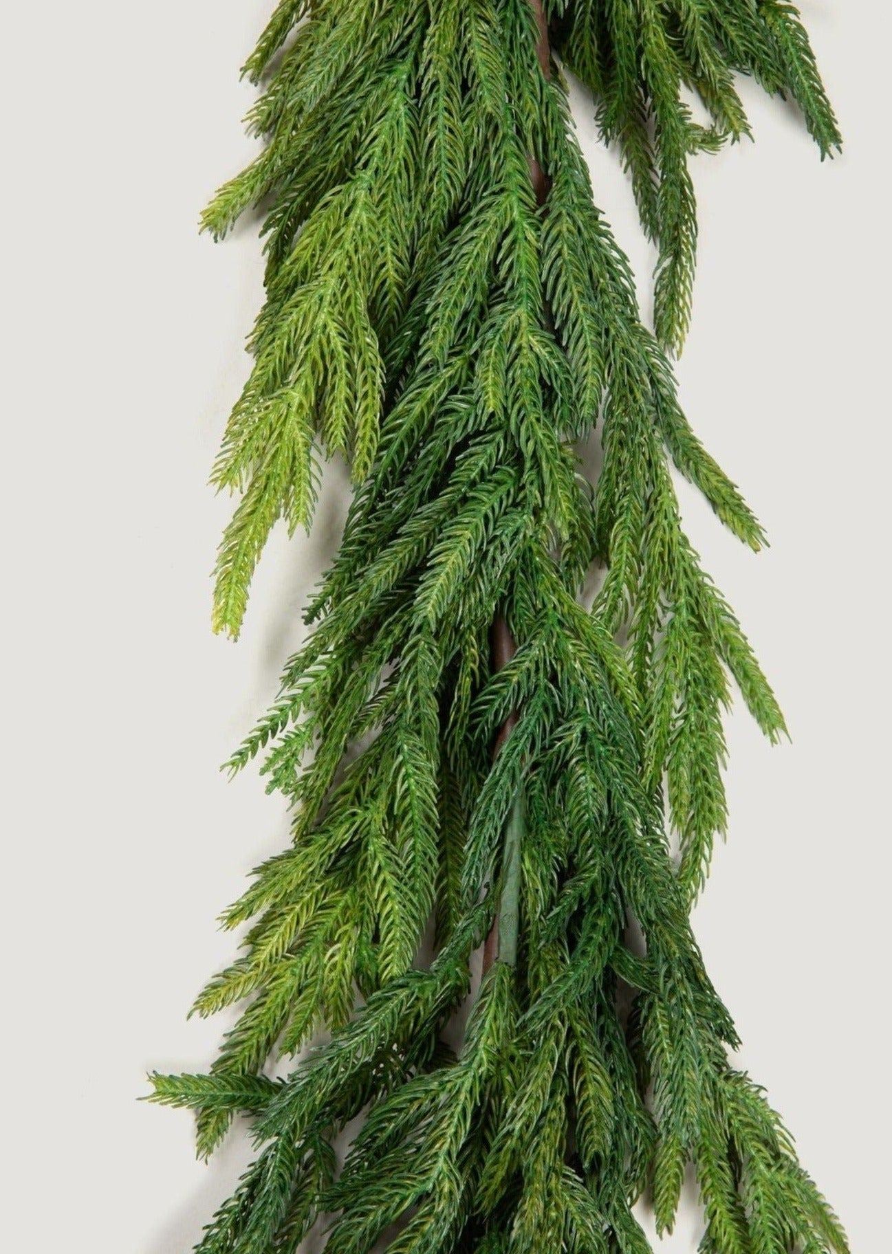 Evergreen Luxe Norfolk Pine Garland